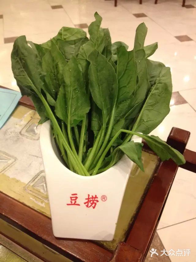 澳门豆捞(宁波一店)-菠菜图片-宁波美食-大众点评网
