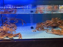 -阿伟海鲜楼·福建菜(延寿店)