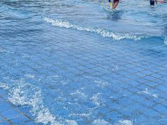 -灵山莲花公园-温泉度假区