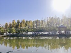 -穆湖渔村饭庄·住宿·钓鱼