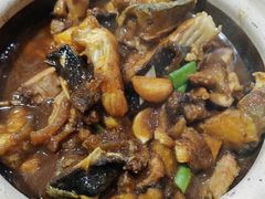 -强记湛江鸡饭店·二十七年老字号(拱北店)