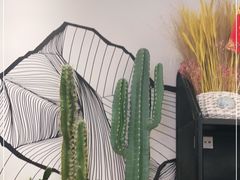 -喜寿司(金狮广场店)