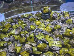 -聚盛源蒸汽海鲜火锅烤肉自助(巨川金海岸购物广场店)