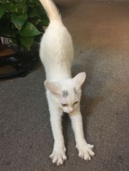 -尚美日式美甲美睫工作室