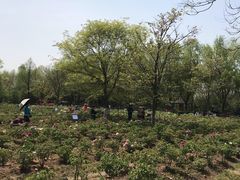 -合肥三国新城遗址公园