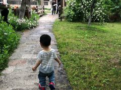 -乌村