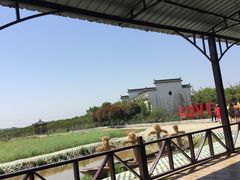 -武汉紫薇都市田园