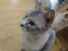 -万小咖.猫咖(中山路天虹店)
