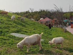-红山体育乐园