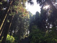 -井冈山风景名胜区-黄洋界