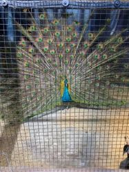 -酷嗒动物文化乐园(cutezoo西溪乐天城店)