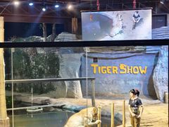 -清迈夜间动物园