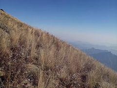 -白草畔自然风景区