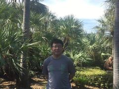 -东芭乐园