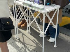 -东方体育中心(地铁站)