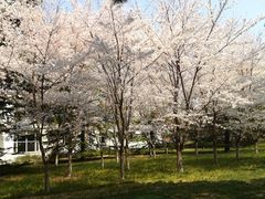 -钓鱼台国宾馆