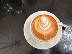 -Fern Forest Cafe