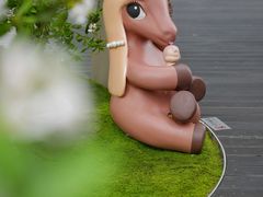 -深圳湾万象城