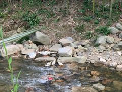 -将军关探险漂流