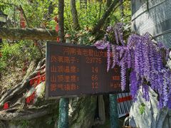 -老君山风景名胜区