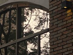 -VESH COFFEE(定西路店)