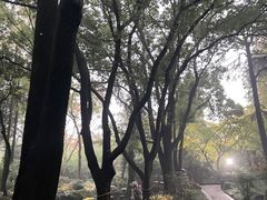 -汇龙潭