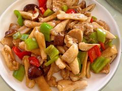 -鸿运美食府