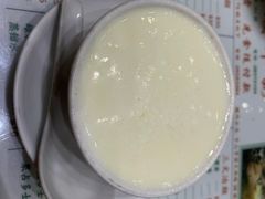 姜撞奶-义顺牛奶公司(新马路老店)