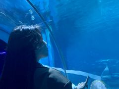 -北戴河圣蓝海洋公园