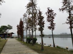 -飞来湖湿地公园