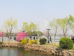 -无锡蠡湖国家湿地公园-蠡园