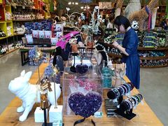 -Behring World of Animals(上海自然博物馆店)