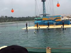 -秦皇岛乐岛海洋王国