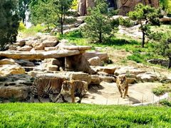 -北京野生动物园