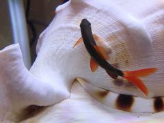 -七宝蔬菜农副产品综合交易市场-停车场