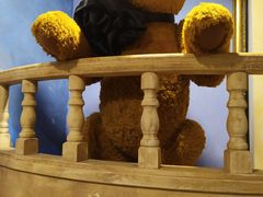 -济州岛泰迪熊博物馆