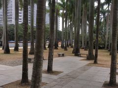 -莲花山公园