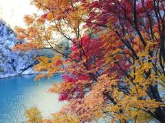 -叠溪松坪沟景区