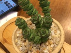 -头壹号 大油条·老长沙盖码饭(清河店)