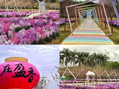 -盈香心动乐园