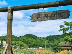 -东钱湖小普陀景区