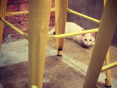 -MIKAKU(万达广场上海宝山店)