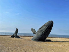-烟台金沙滩海滨公园