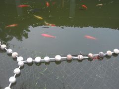 -溪口-滕头旅游景区