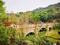 -云溪植物园