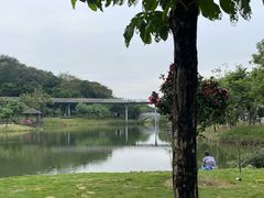 -王借岗森林公园