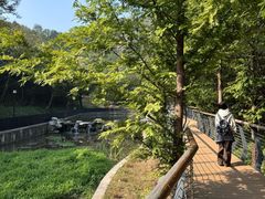 -白水寺森林公园