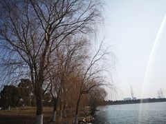 -漕湖湿地公园