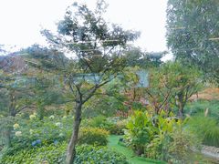 -贵阳市花溪国家城市湿地公园