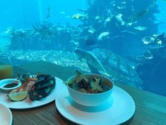 -海棠湾洲际-涛·海底餐厅·美人鱼·自助餐·海底隧道